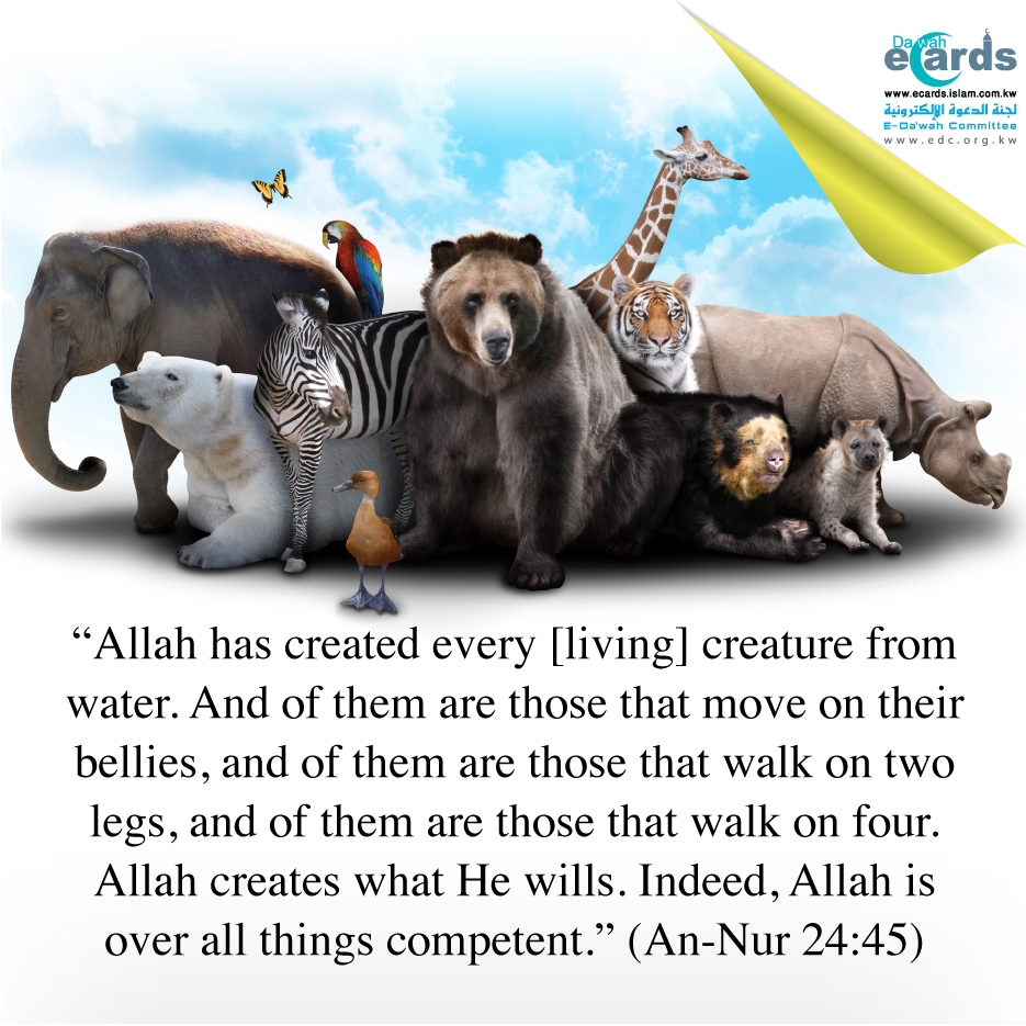 ِAllah Creates What He Wills