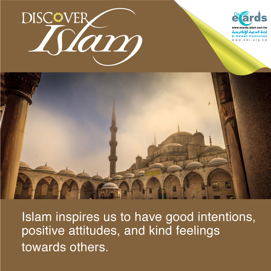 Discover Islam