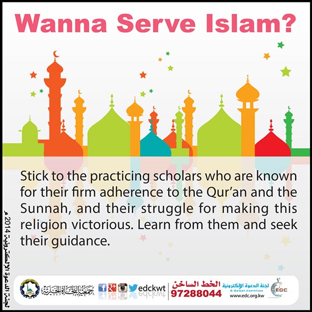 Wanna Serve Islam ? (8)