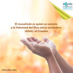 Musulmán es quien se somete a la voluntad de Dios