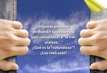 ¿Se creó la naturaleza a sí misma?