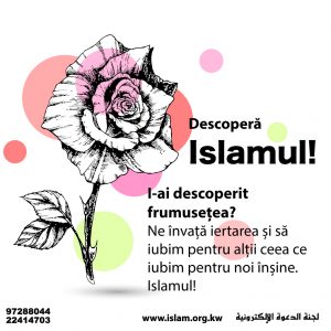 Frumusetea Islamului