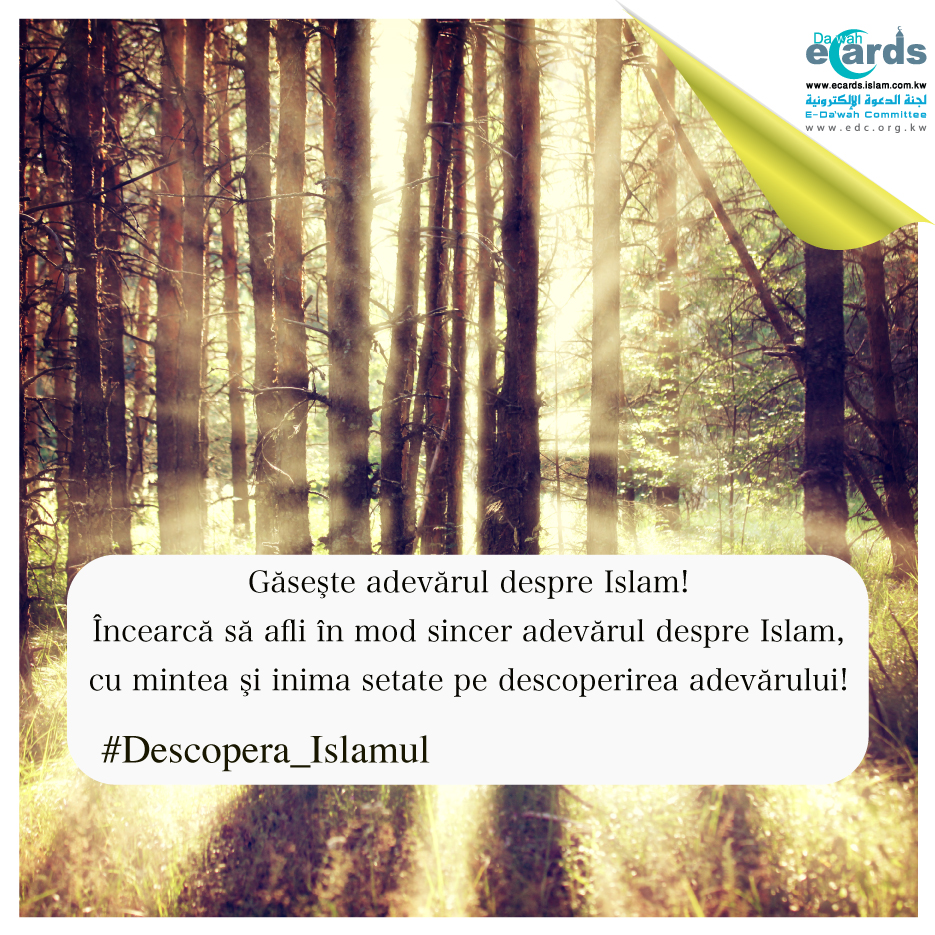 Gaseste adevarul despre Islam!