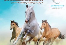 الخيل معقود في نواصيها الخير