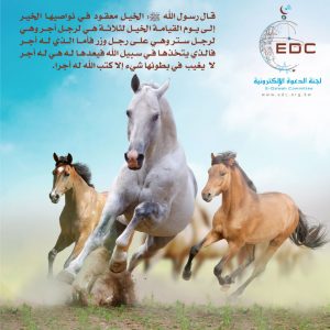 الخيل معقود في نواصيها الخير