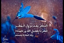الذكر بعد نزول المطر
