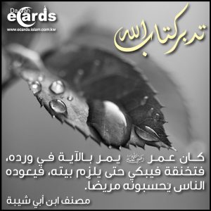 تدبر القرآن