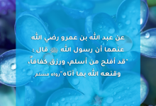 قد أفلح من أسلم