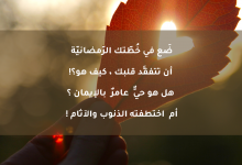فضل شعبان