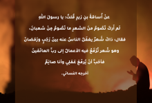 فضل شعبان