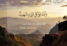 الله على كل شيء شهيد