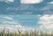 ولا تيأسوا من روح الله