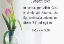 [59,3]Il Corano