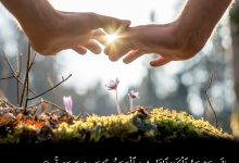 إليه يصعد الكلم الطيب