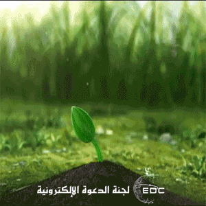 الاستغفار