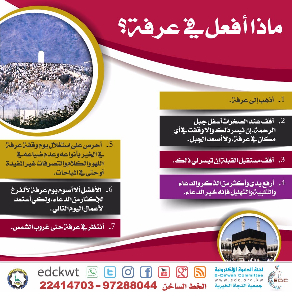 ماذا أفعل في عرفة؟