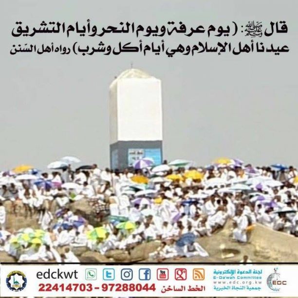 عرفة